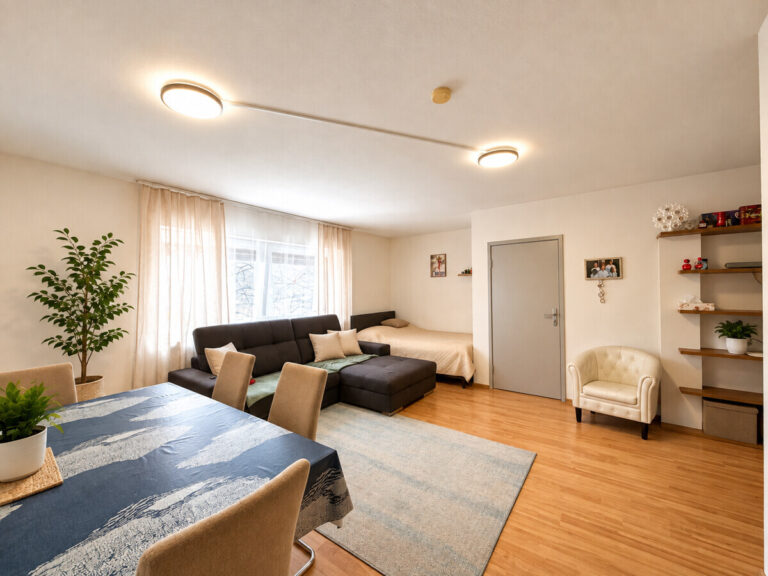 Wohnzimmer V1